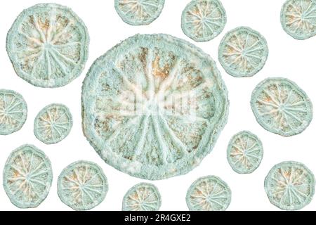 frutta ammuffita, fetta di limone o agrumi rovinati dalla muffa. isolato ammuffito intatto sezione di limoni o di frutta d'arancia su bianco. cibo malsano e cattivo Foto Stock