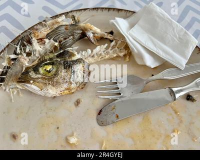 avanzi, avanzi di pesce sul piatto. fishbones e dirty fork sul piatto sul tavolo dopo cena o pranzo. il cibo rimane sul tavolo con un focus selettivo. d Foto Stock