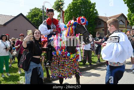 Vlcnov, Repubblica Ceca. 28th maggio, 2023. Il tradizionale Ride of the Kings, un festival che celebra la primavera, si è tenuto a Vlcnov, Repubblica Ceca, il 28 maggio 2023. Credit: Galibor Gluck/CTK Photo/Alamy Live News Foto Stock