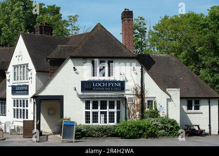 Ascot, Berkshire, Regno Unito. 28th maggio, 2023. La gente del posto è triste che questo fine settimana il Loch Fyne Seafood and Grill Restaurant ad Ascot, Berkshire, che ha aperto nell'agosto 2018, sia stato chiuso definitivamente. Blocchi di cemento sono stati collocati all'ingresso del parcheggio. Anche il ristorante Loch Fyne di Wokingham è stato chiuso alcuni mesi fa. Loch Fyne è di proprietà della catena di pub Greene King. Secondo il loro sito web gli altri ristoranti di Edimburgo, Portsmouth, Woburn e York rimangono aperti. Credit: Maureen McLean/Alamy Live News Foto Stock