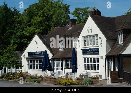 Ascot, Berkshire, Regno Unito. 28th maggio, 2023. La gente del posto è triste che questo fine settimana il Loch Fyne Seafood and Grill Restaurant ad Ascot, Berkshire, che ha aperto nell'agosto 2018, sia stato chiuso definitivamente. Blocchi di cemento sono stati collocati all'ingresso del parcheggio. Anche il ristorante Loch Fyne di Wokingham è stato chiuso alcuni mesi fa. Loch Fyne è di proprietà della catena di pub Greene King. Secondo il loro sito web gli altri ristoranti di Edimburgo, Portsmouth, Woburn e York rimangono aperti. Credit: Maureen McLean/Alamy Live News Foto Stock