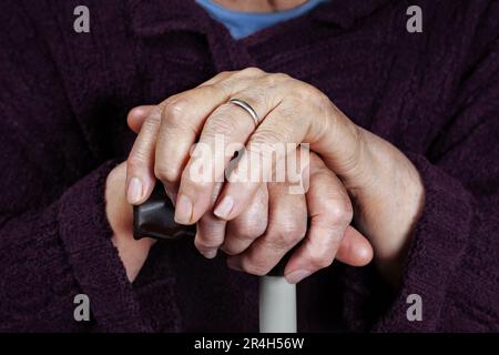 Mani di una donna anziana su una canna da zucchero, primo piano Foto Stock