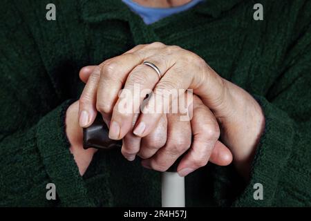 Mani di una donna anziana su una canna da zucchero, primo piano Foto Stock