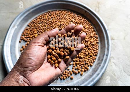 È uno dei più antichi legumi coltivati. Il ceci (Cicer arietinum) è un legume annuale della famiglia Fabaceae, sottofamiglia Faboid Foto Stock