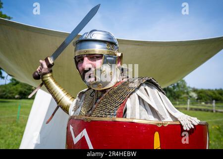 Chalfont, Regno Unito. 28 maggio 2023. Un gladiatore partecipa ai Giochi Gladiatori al Chiltern Open Air Museum. Portato in vita da Britannia, uno dei più grandi (e più antichi) gruppi di rievocazione romana negli Stati Uniti, i rievocatori mostrano la vita in Gran Bretagna romana nel 1st ° secolo d.C. Chiltern Open Air Museum racconta la storia della zona di Chiltern attraverso la conservazione di edifici storici, paesaggi e cultura. Credit: Stephen Chung / Alamy Live News Foto Stock