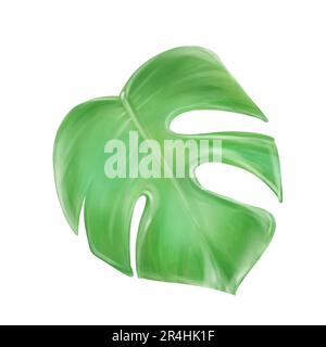 Acquerello foglia di Monstera. Esotico, estate, isolato fresco per la creazione di inviti di nozze, carte. Piante tropicali, botanica Foto Stock