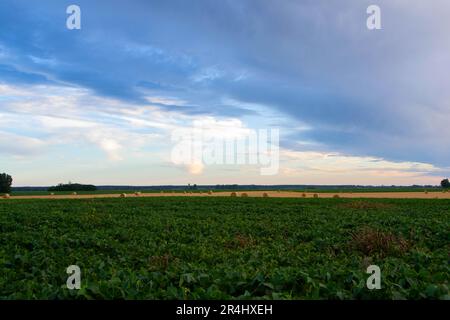 Foto del tramonto sui campi della Vojvodina sui dintorni di un'autentica fattoria Foto Stock