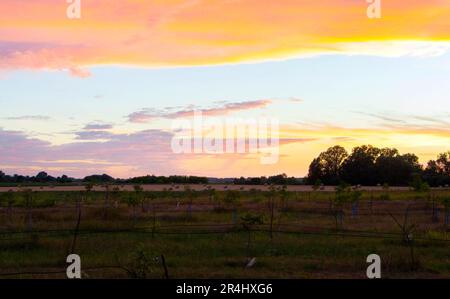 Foto del tramonto sui campi della Vojvodina sui dintorni di un'autentica fattoria Foto Stock