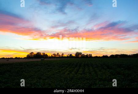 Foto del tramonto sui campi della Vojvodina sui dintorni di un'autentica fattoria Foto Stock