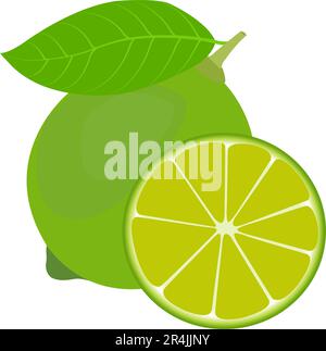 Illustrazione del vettore di frutta al limone Illustrazione Vettoriale