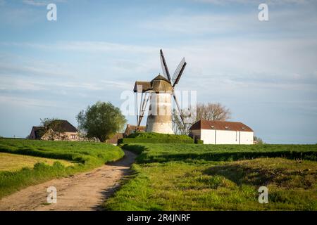 Mulino a vento a Ninove, Denderstreek, Fiandre Orientali, Belgio Foto Stock