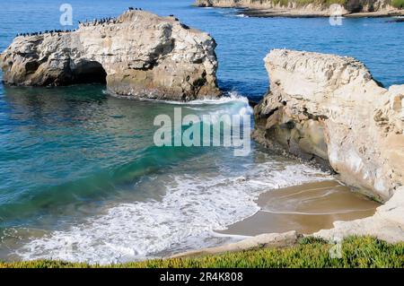 Onde contro le rocce - Oceano Pacifico Foto Stock