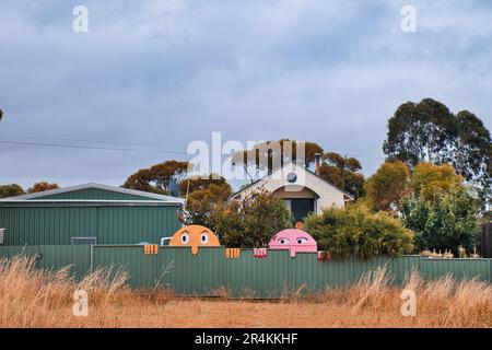 Divertenti facce maschili e femminili con grandi occhi che si affacciano su una recinzione di un giardino, Street art a Ravensthorpe, Australia Occidentale Foto Stock