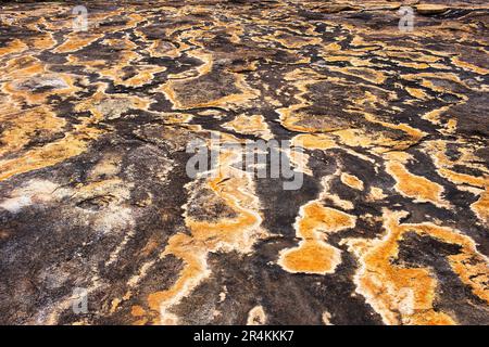 Modelli astratti di lichene e di deflusso d'acqua su granito nel Cape le Grand National Park, Esperance, Australia Occidentale Foto Stock