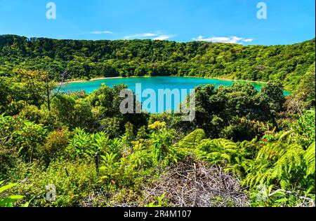 Lago Botos, un cratere inattivo all'interno del Parco Nazionale del Vulcano Poas in Costa Rica Foto Stock