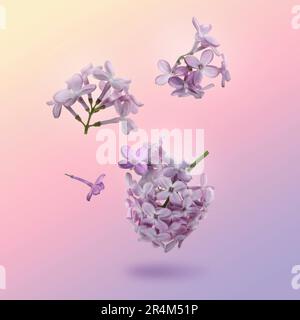 Bellissimi fiori lilla cadendo su sfondo colorato Foto Stock