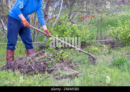 Una donna giardiniera pulisce il territorio della trama da erba secca con un rastrello di metallo pesante. Foto Stock