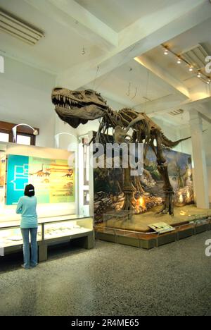 Una donna visitatrice sta leggendo informazioni su pannelli di fronte alla ricostruzione di un Tyrannosaurus rex al Museo Geologi (Museo di Geologia) a Bandung, Giava Occidentale, Indonesia. Foto Stock