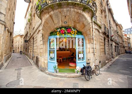 Bordeaux è una città portuale sulla Garonna nel dipartimento della Gironda nel sud-ovest della Francia. E 'la capitale della regione Nouvelle-Aquitaine, così come la prefettura del Girond Foto Stock