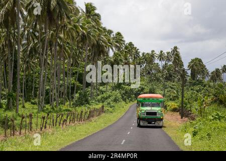 Autobus pubblico Samoano colorato su strada rurale, vicino a una piantagione di cocco Foto Stock