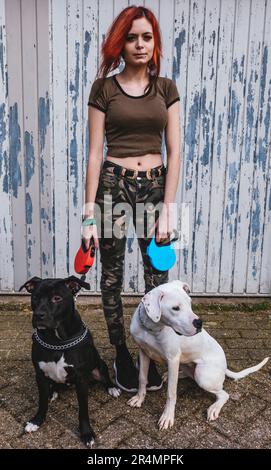 Donna con i suoi due cani grandi - cani da caccia e difensivi Foto Stock