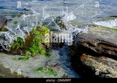 Olberg; Olbergstranden; Raege; Norvegia; maggio 20 2023, Onde piccole, Breaking Over Rocks sulla linea costiera senza persone Foto Stock