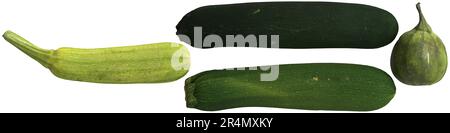 3d illustrazione di zucchine isolate su sfondo nero Foto Stock