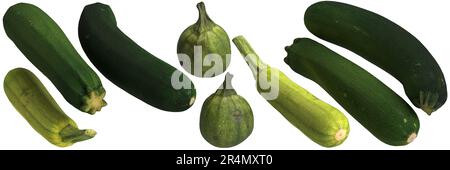 3d illustrazione di zucchine isolate su sfondo nero Foto Stock