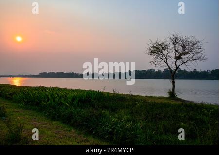 Un albero soleggiato è silurato contro il sole tramontare una serata balsica sulla riva del fiume profumo a Hue, Vietnam. Foto Stock