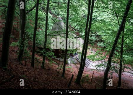 Bella architettura in legno di una piccola cappella situata in una foresta di faggi. Cappella di Saint Roch a Krasnobród. Polonia Foto Stock