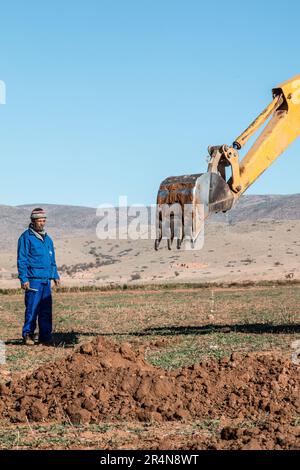 Contadino che manipola una pala caricatrice per stabilire i punti di semina per gli alberi di mandorle nel suo campo Foto Stock