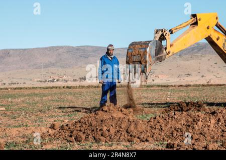 Utilizzo di macchinari pesanti da parte di Farmer per la scavo di fori per alberi di mandorle nel suo campo Foto Stock