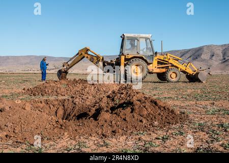 Visite des plantations de vergers au niveau des périmètres de Sidi Bouhria et de Rislane.Farmer che gestisce un escavatore cingato per la preparazione del terreno Foto Stock