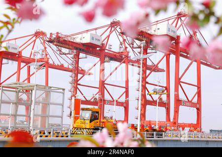 SUZHOU, CINA - 29 APRILE 2023 - (FILE) il porto di Taicang nel Mare dei fiori a Suzhou, provincia di Jiangsu, Cina, 29 marzo 2023. Foto Stock