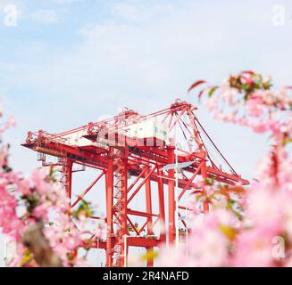 SUZHOU, CINA - 29 APRILE 2023 - (FILE) il porto di Taicang nel Mare dei fiori a Suzhou, provincia di Jiangsu, Cina, 29 marzo 2023. Foto Stock