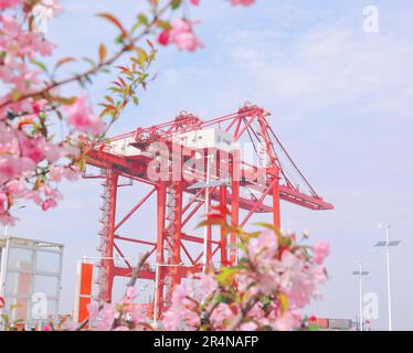 SUZHOU, CINA - 29 APRILE 2023 - (FILE) il porto di Taicang nel Mare dei fiori a Suzhou, provincia di Jiangsu, Cina, 29 marzo 2023. Foto Stock