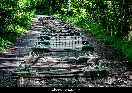 Scultura Trail Forest of Dean. Iron Road, Beechenhurst. Foto Stock