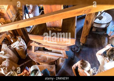 Straupitz, Germania. 29th maggio, 2023. I visitatori visitano l'interno del Holländerwindmühle nella città di Spreewald di Straupitz il lunedì di Pentecoste per il mulino tedesco. Il Holländerwindmühle di Straupitz è l'ultimo mulino a vento a tre in Europa. Una fabbrica di grano, una fabbrica di petrolio e una segheria sono in funzione qui. L'intero complesso del mulino è stato rinnovato nel 2001/2002. Credit: Frank Hammerschmidt/dpa/Alamy Live News Foto Stock