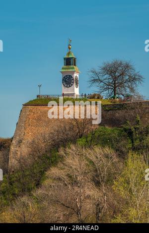 La torre dell'orologio bianco, uno dei più significativi monumenti e simboli della Fortezza di Petrovaradin e Novi Sad Foto Stock