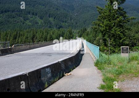 Ponte Cog Harrington tra Boston Bar e North Bend, British Columbia, Canada Foto Stock