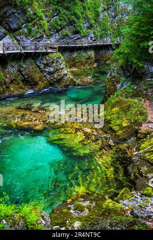Il paesaggio panoramico della Gola di Vintgar in Slovenia. Luce del sole riflessa nelle acque cristalline del fiume di montagna Radovna e sentiero in legno sopra, Triglav Nat Foto Stock