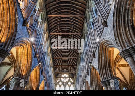L'interno della Cattedrale di Glasgow nella città di Glasgow, Scozia, Regno Unito. Chiesa gotica risalente al 12th ° secolo, vista sul soffitto a navata. Foto Stock