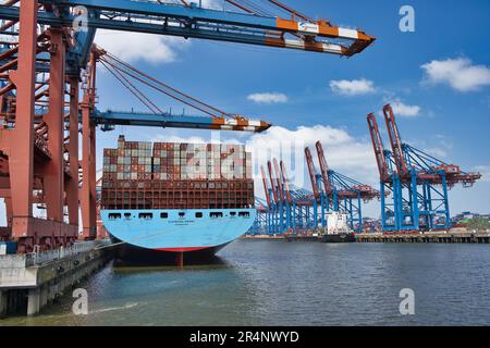 Amburgo, Hansestadt, Waterkant, Norddeutschland, Fluss, fiume, Elba, Hafen, porto, Waltershof, Container-Terminal, Container, schiff, nave, Eleonora Foto Stock