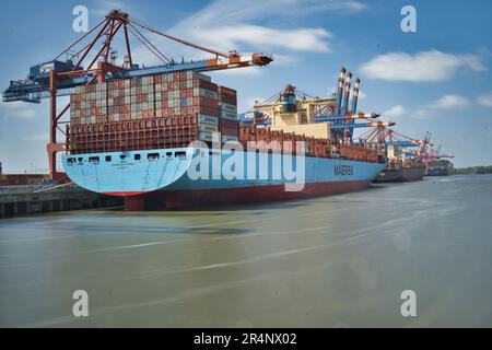 Amburgo, Hansestadt, Waterkant, Norddeutschland, Fluss, fiume, Elba, Hafen, porto, Waltershof, Container-Terminal, Container, schiff, nave, Eleonora Foto Stock