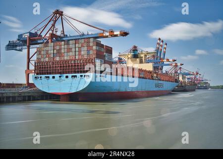 Amburgo, Hansestadt, Waterkant, Norddeutschland, Fluss, fiume, Elba, Hafen, porto, Waltershof, Container-Terminal, Container, schiff, nave, Eleonora Foto Stock