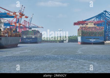 Amburgo, Hansestadt, Waterkant, Norddeutschland, Fluss, fiume, Elba, Hafen, porto, Waltershof, Container-Terminal, Container, schiff, nave, Eleonora Foto Stock