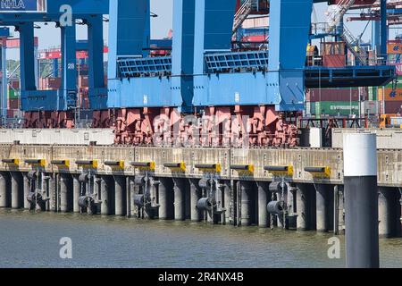 Amburgo, Hansestadt, Waterkant, Norddeutschland, Fluss, fiume, Elba, Hafen, porto, Waltershof, Container-Terminal, Container, schiff, nave, Eleonora Foto Stock