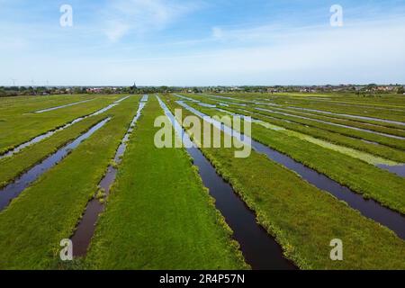 Splendida vista aerea dell'ampio paesaggio olandese di polder con canali e canali pieni d'acqua paralleli Foto Stock