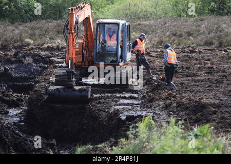 I membri della Commissione indipendente per la localizzazione dei resti delle vittime (ICLVR), lavorano a Bragan Bog in Co Monaghan, dove è in corso un accurato scavo per l'adolescente scomparso Columba McVeigh. McVeigh, 19 anni, di Donaghmore nel Co Tyrone, è stato assassinato e sepolto segretamente dall'IRA nel 1975. Data immagine: Lunedì 29 maggio 2023. Foto Stock