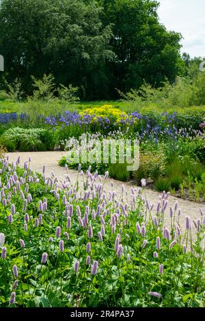 Aiuole nel giardino di benvenuto a RHS Bridgewater, Worsley Greater Manchester, Inghilterra. Foto Stock